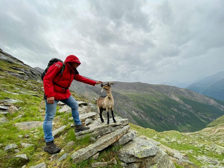 Wanderungen in der Natur am Großglockner