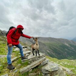 Wanderungen in der Natur am Großglockner